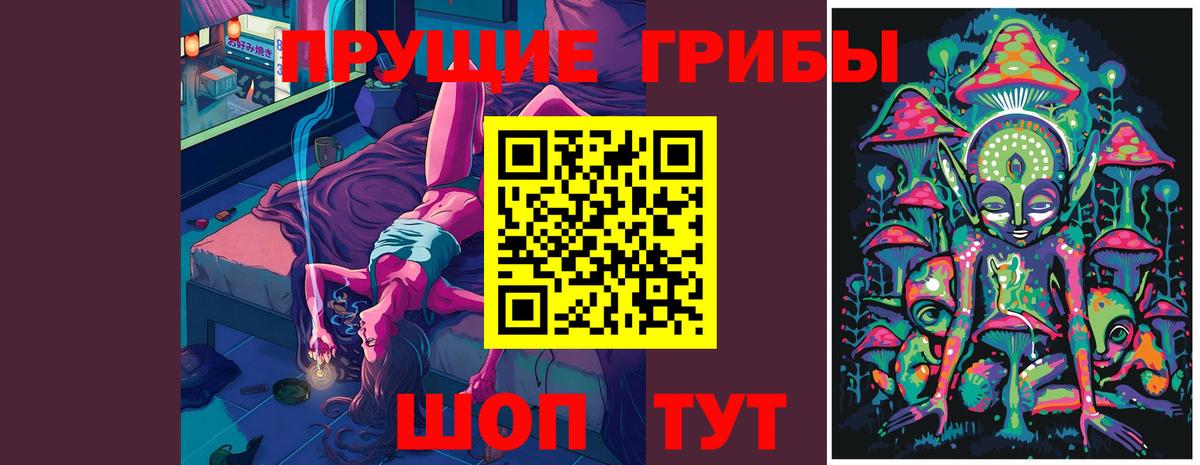 Псилоцибиновые грибы Cubensis  Вход с VPN  Благодарный  Псилоцибиновые грибы прущие грибы 